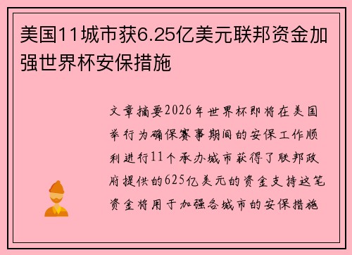 美国11城市获6.25亿美元联邦资金加强世界杯安保措施
