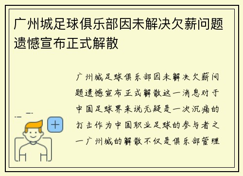 广州城足球俱乐部因未解决欠薪问题遗憾宣布正式解散